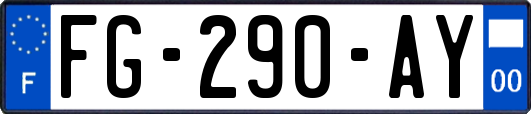 FG-290-AY