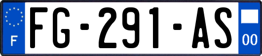 FG-291-AS