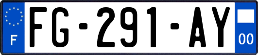 FG-291-AY