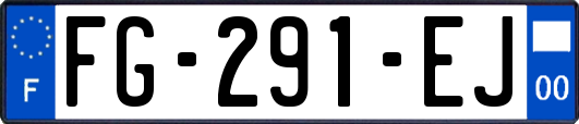 FG-291-EJ