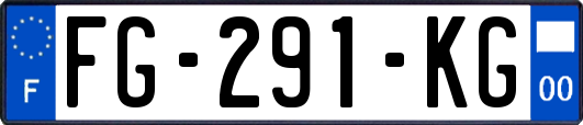 FG-291-KG