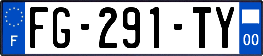 FG-291-TY