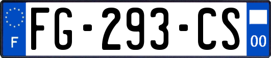 FG-293-CS