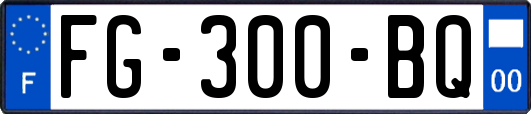 FG-300-BQ