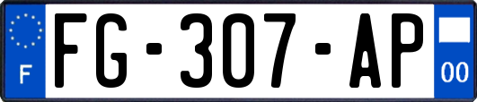 FG-307-AP