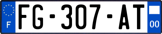 FG-307-AT