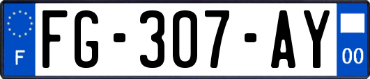 FG-307-AY