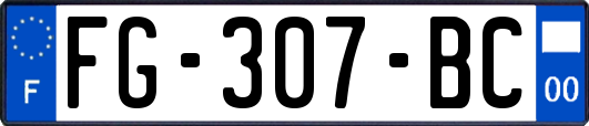 FG-307-BC