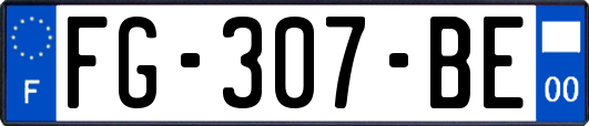 FG-307-BE