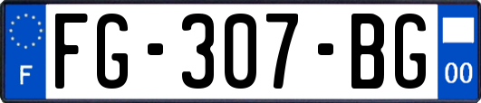 FG-307-BG