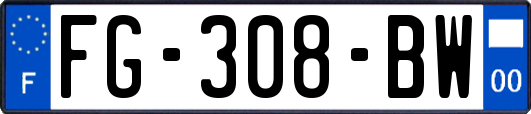 FG-308-BW