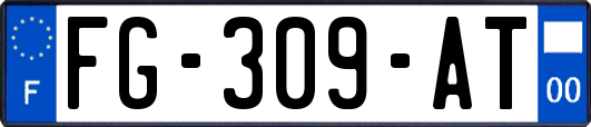 FG-309-AT