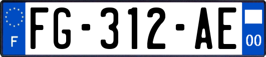 FG-312-AE