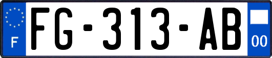 FG-313-AB