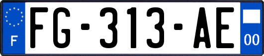 FG-313-AE