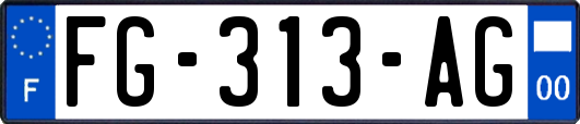 FG-313-AG