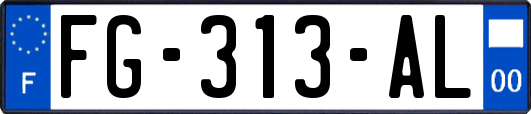 FG-313-AL