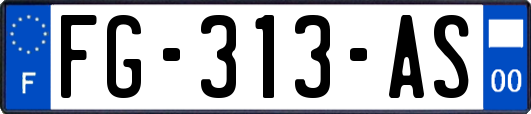 FG-313-AS