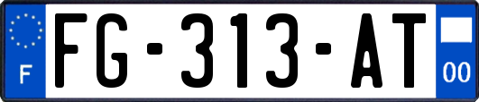 FG-313-AT