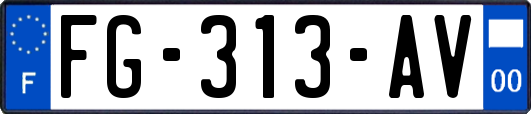 FG-313-AV