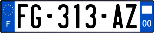 FG-313-AZ