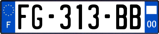 FG-313-BB