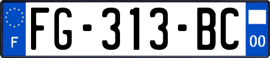 FG-313-BC