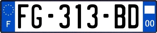 FG-313-BD