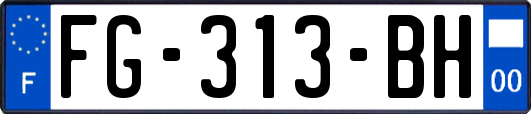 FG-313-BH