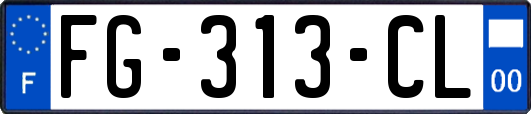 FG-313-CL