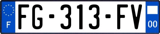 FG-313-FV