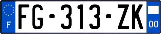 FG-313-ZK