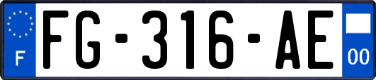 FG-316-AE