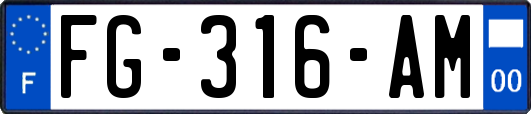 FG-316-AM