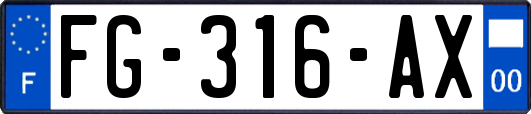 FG-316-AX