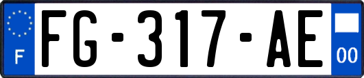 FG-317-AE