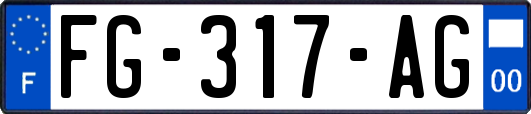 FG-317-AG