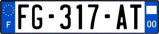 FG-317-AT