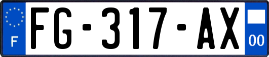 FG-317-AX