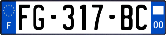 FG-317-BC