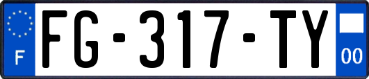 FG-317-TY