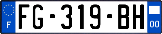 FG-319-BH