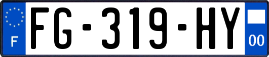 FG-319-HY