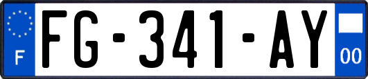 FG-341-AY