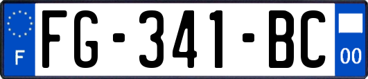 FG-341-BC