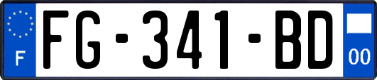 FG-341-BD