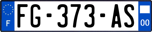 FG-373-AS