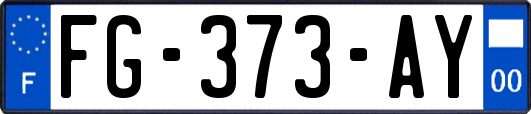 FG-373-AY