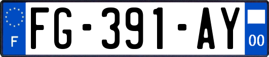 FG-391-AY