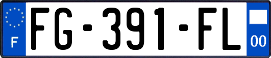 FG-391-FL